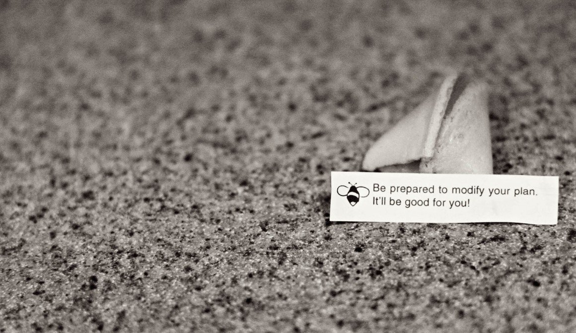 fortune cookie