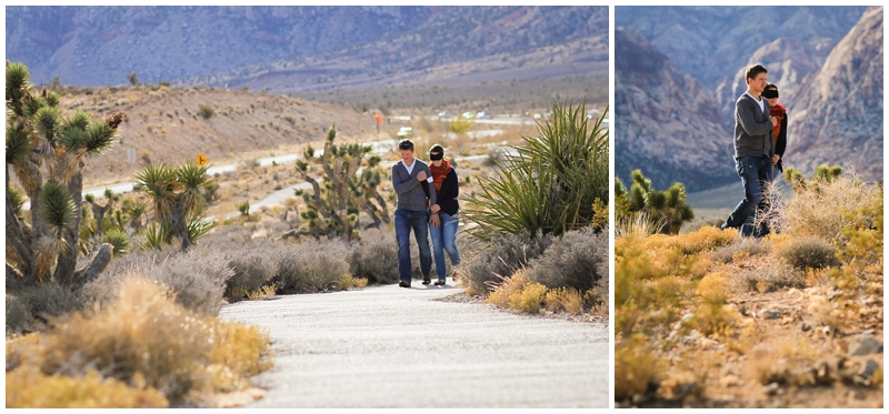 las vegas engagement photos_0235