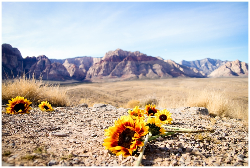 las vegas engagement photos_0237