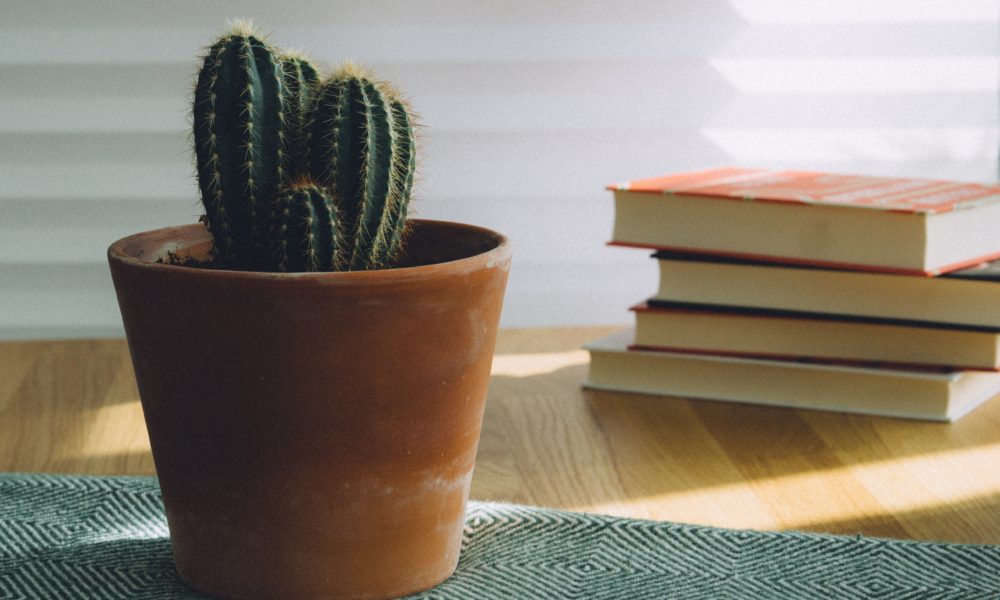 14 Books I’m Glad I Read in 2017